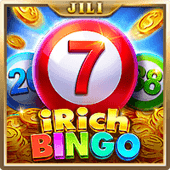 Irich Bingo earn money